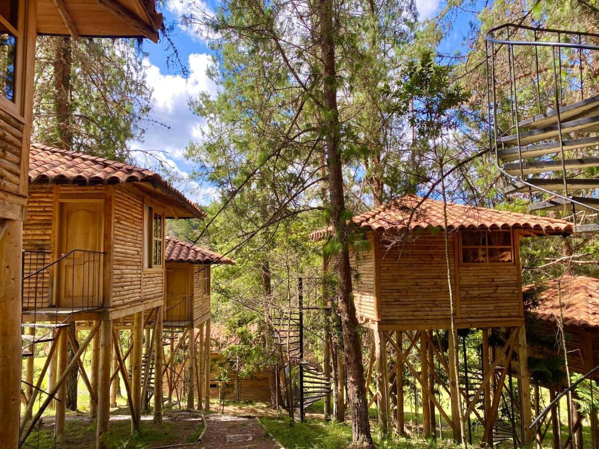 Eco Niguito Santa Elena